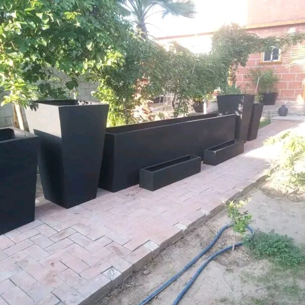 Lote de 14 piezas para Hotel en Bernal, Querétaro.