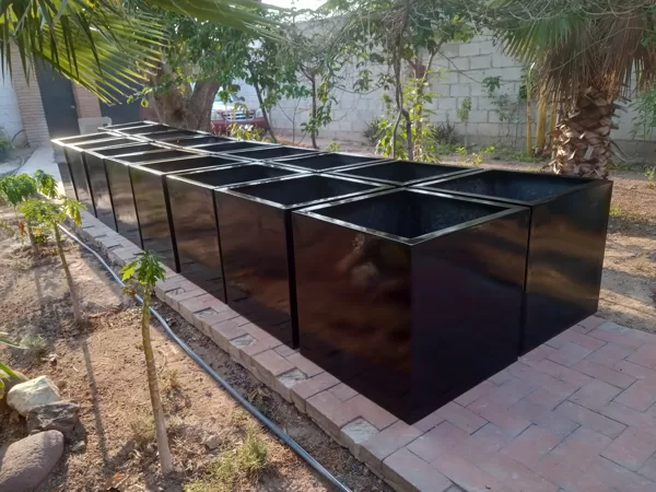 Lote Macetas Cúbicas Celaya, Gto.